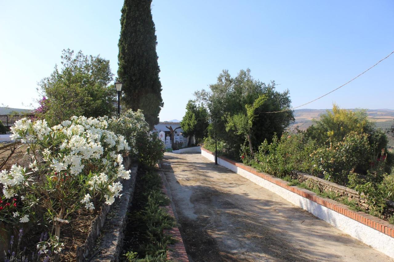 Casa Rural Faltriquera Setenil Setenil De Las Bodegas Экстерьер фото