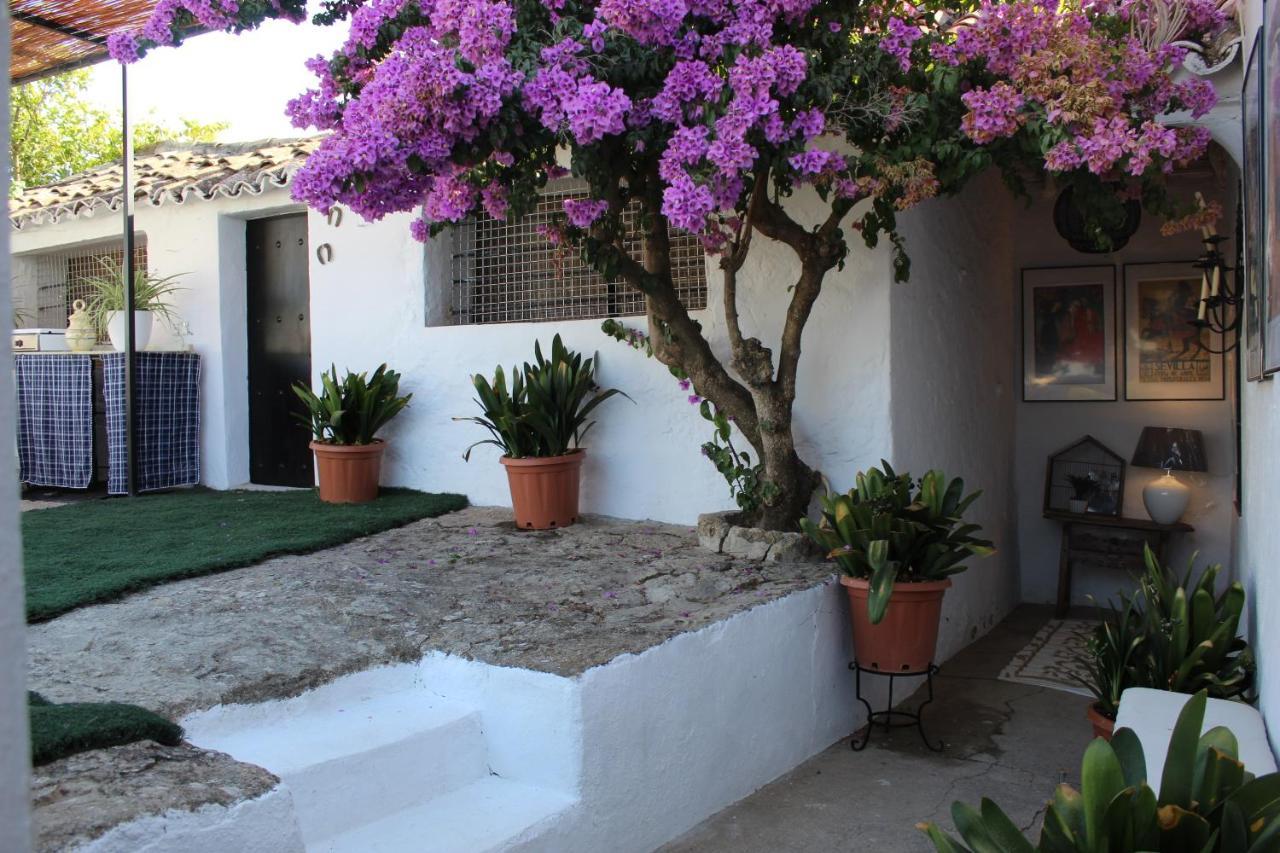Casa Rural Faltriquera Setenil Setenil De Las Bodegas Экстерьер фото